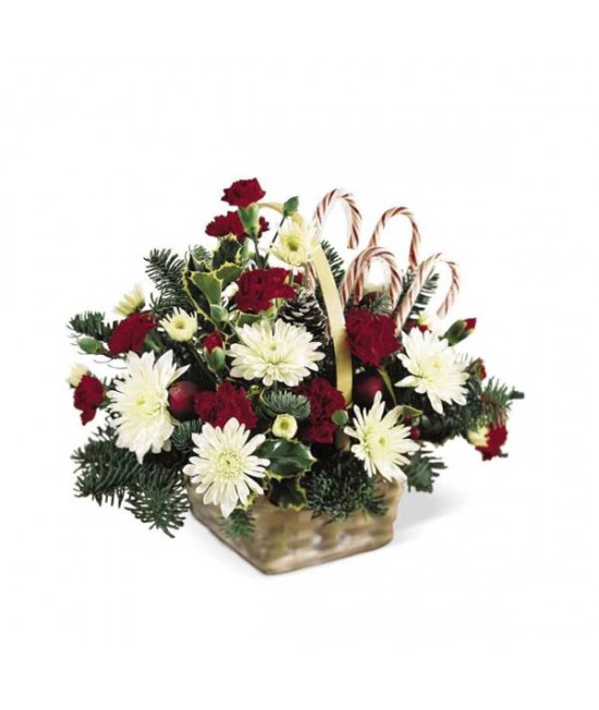 Candy Cane Lane Arrangement Candy Cane Lane Arrangement